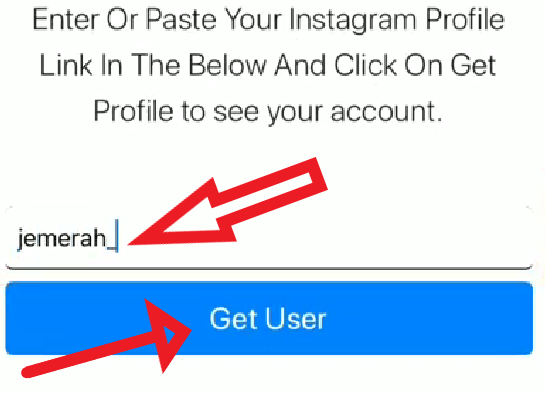 IG followers get user button