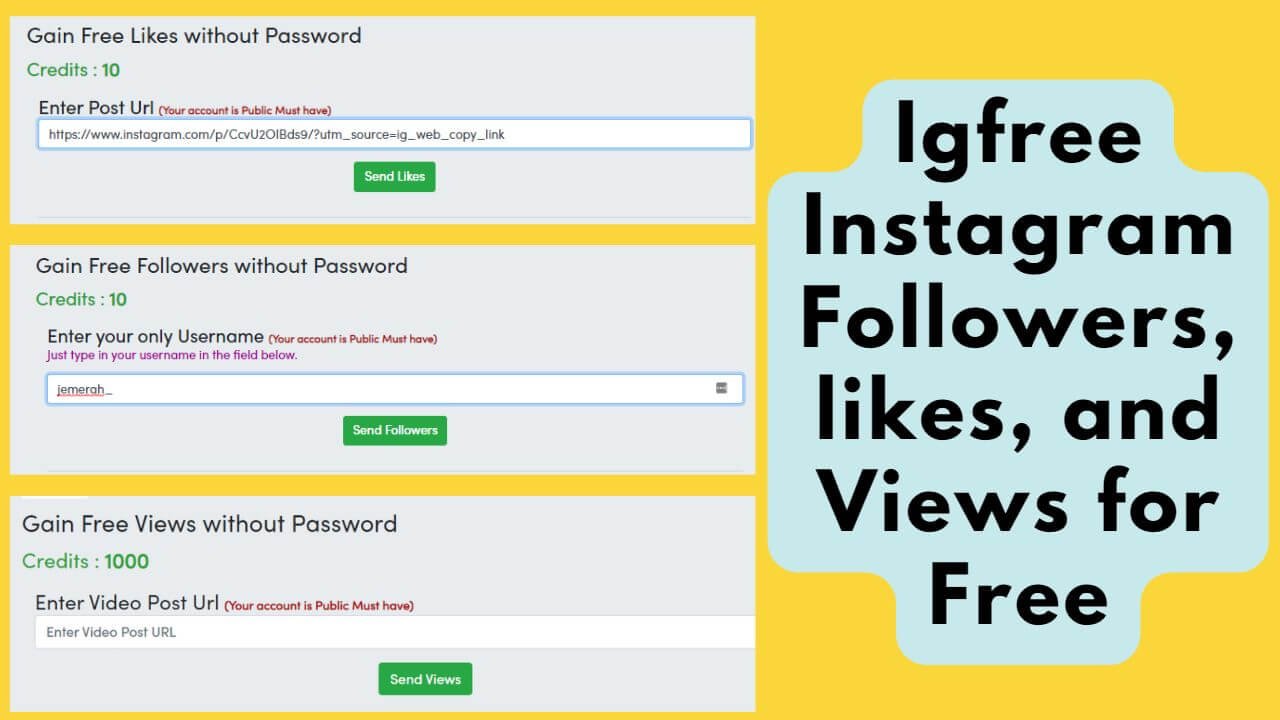 igfree followers, likes, and views for instagram
