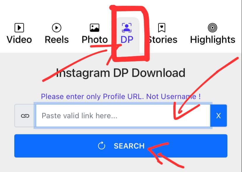 How to Download Private IG Photos