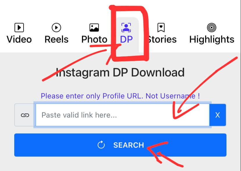 How to Download Private IG Photos